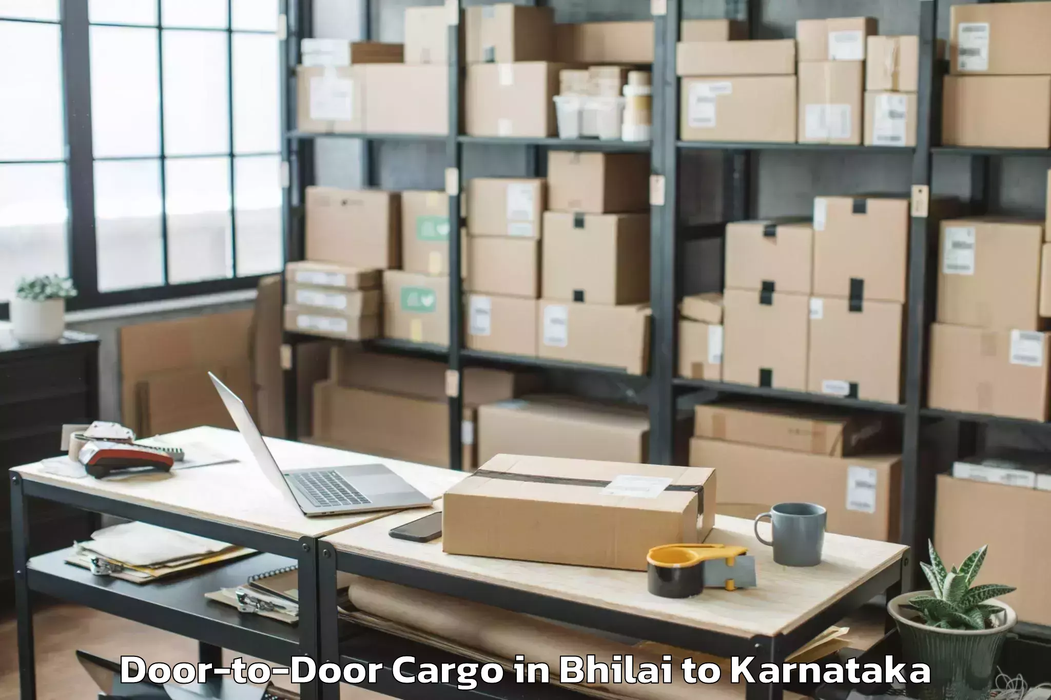 Professional Bhilai to Holalkere Rural Door To Door Cargo